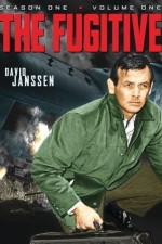 Watch The Fugitive Megashare8